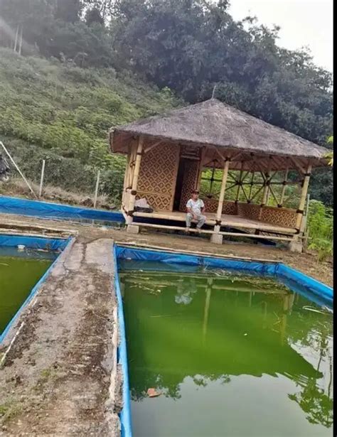 Tanah Kolam Ikan Dijual Tanah Cari Tanah Murah Di Bogor Kab Olx