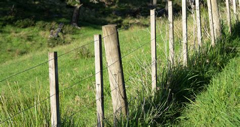 Types Of Farm Fencing Agricultural Fencing Guide Estate Sawmills