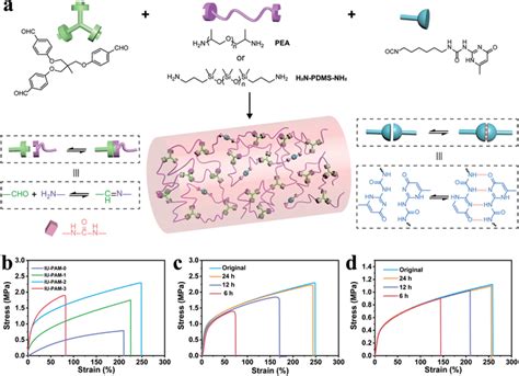 Schematic Illustration Of The Design Of Self‐healing Polymeric