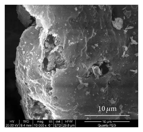 SEM Micrographs Depict Mg0 5Zn0 5Fe2O4 X 0 5 Ferrites With