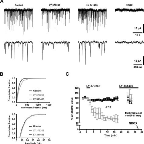 Positive Allosteric Modulation Of Mglur2 Enhances The Sensitivity Of