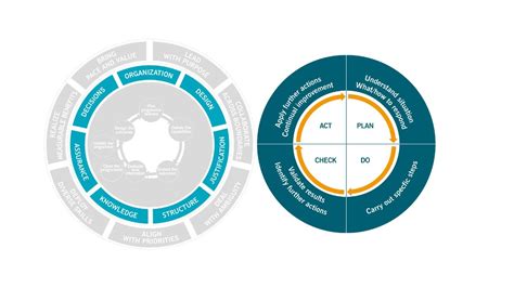 MSP 5th Edition Foundation MSP Themes Key Concepts YouTube