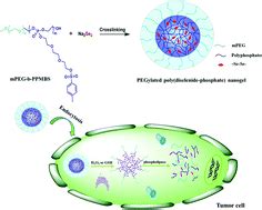 PEGylated Poly Diselenide Phosphate Nanogel As Efficient Self Delivery