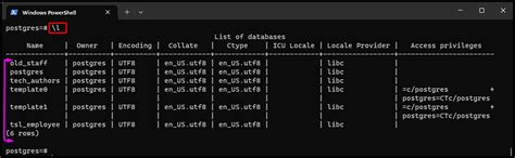 How To Include Multiple Postgres Databases In A Single Docker Container