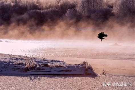 《荀子》10句名言告诉你：高情商的人这样为人处世！ 知乎