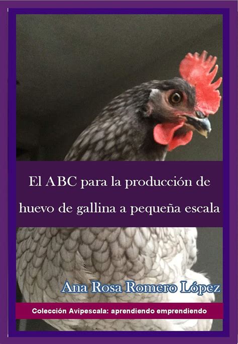 El ABC para la producción de huevo de gallina a pequeña escala