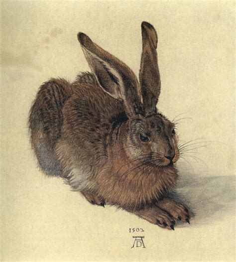 Pin von Victoria Rossini auf Coisas dos Outros | Albrecht dürer hase ...