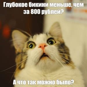котик удивлен - Создать мем - Meme-arsenal.com