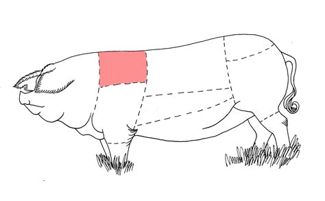 how to smoke boston butt 2