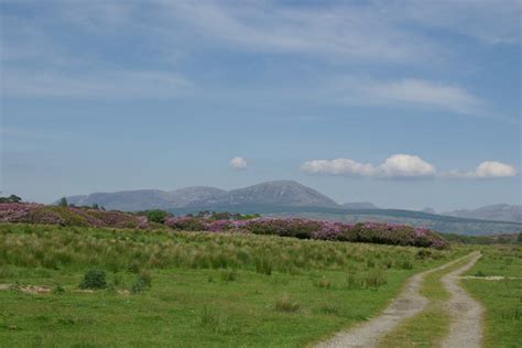 Track above Carradale Bay Photo | UK Beach Guide