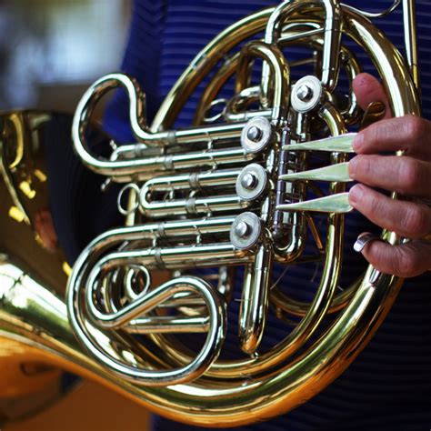 French Horn - Dawson Music Academy