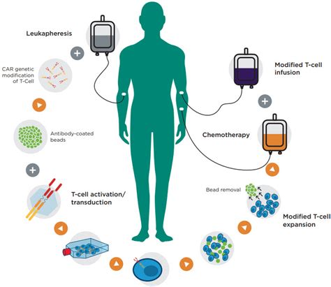 Car T Cell Therapy Manufacturing Photos