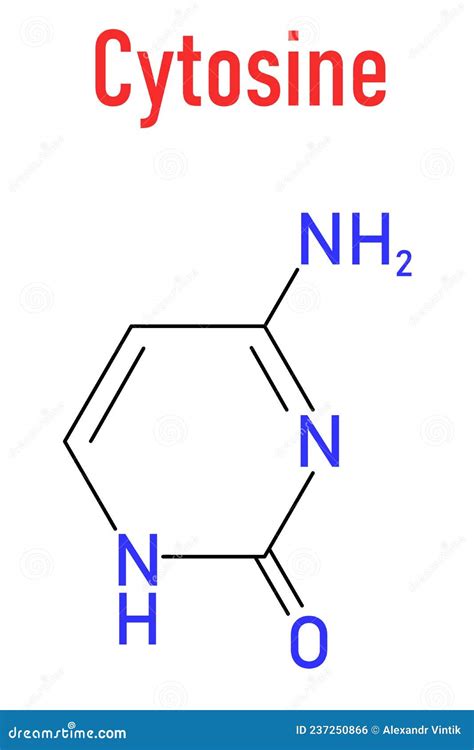 Cytosine, C, Cyt, Nucleobase, Chemical Formula And Skeletal Structure ...