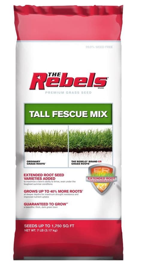 Rebel Tall Fescue Grass Seed Low Price Lawn And Plant Watering Tools