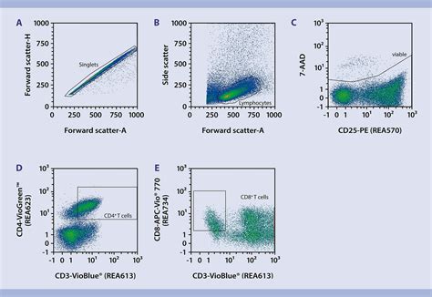 Immunophenotyping Cd4 Cd8 T Cell Differentiation Protocol