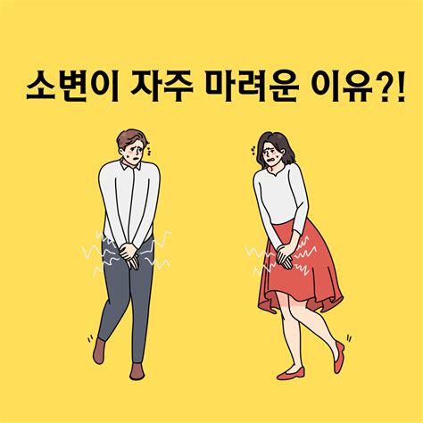 건강 소변이 자주 마려운 이유는 내 몸에 무슨 문제라도