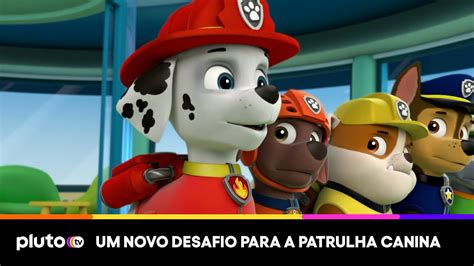 A Galinheta Desapareceu E Agora Patrulha Canina Pluto Tv Youtube