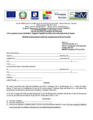 Compilabile Online Innovazione Regione Campania Progetto Innovazione