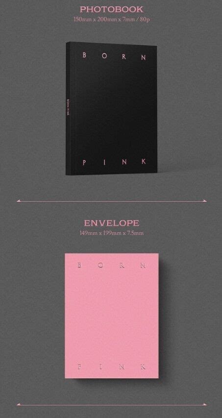 Blackpink 2nd Album Born Pink Box Set Ver Sealed 4592413897