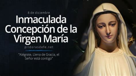 7 Cosas Sobre La Inmaculada Concepción Que Debes Conocer