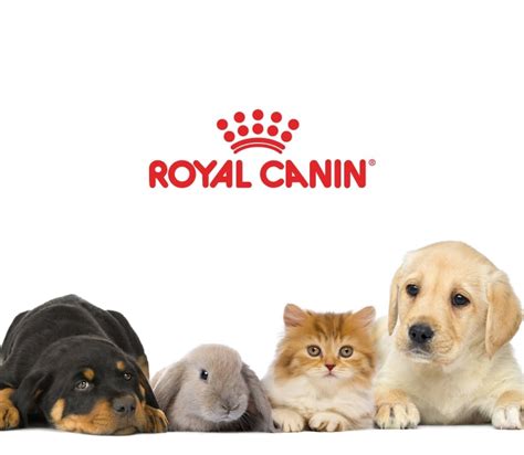 Royal Canin Södermalms Zoo