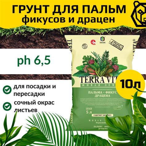 Грунт для фикусов, пальм, драцены, Живая Земля Terra Vita, 5л - купить ...