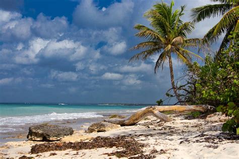 Scenery of a Relaxing Beach · Free Stock Photo