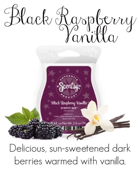 Black Raspberry Vanilla Scentsy Bar Scentsy We Make Perfect Scents