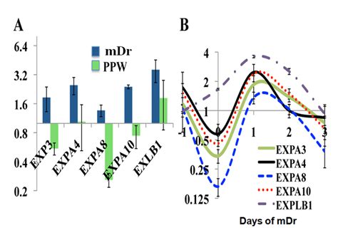 Gene Expression Profiles Of Expansin Genes In Drought Acclimation