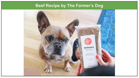 The Farmer’s Dog Food Ingredients 2023: A Complete Analysis