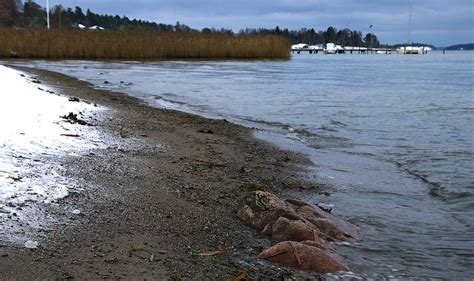 Vintertonad Strand I Stersk R Ster Ker Webbgun Flickr