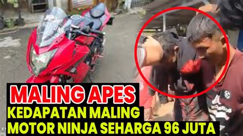 Viral Maling Apes Curanmor Gagal Mencuri Motor Ninja Pelaku