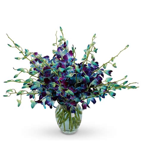 Blue Orchids Bouquet With a Vase - floralmall