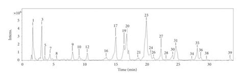 Hplc Esi Msⁿ Base Peak Chromatograms Of The Methanolic Extracts Of A Download Scientific