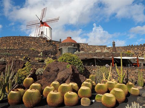 Zdjęcia Lanzarote Wyspy Kanaryjskie Ogród kaktusów HISZPANIA