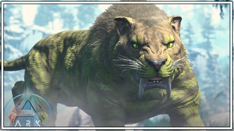 TAMING A SABERTOOTH TIGER FOR OUR NEXT BIG ADVENTURE ARK SURVIVAL