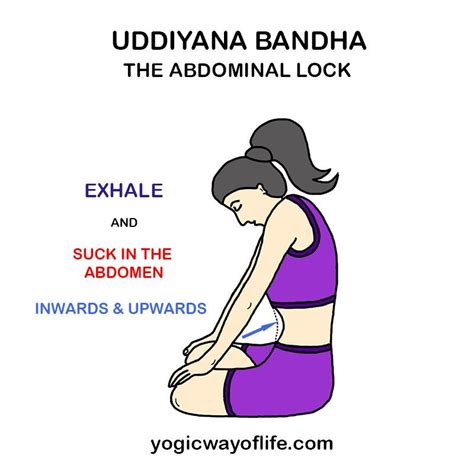 Uddiyana_Bandha_abdominal_lock_yoga | Bandha yoga, Pranayama yoga, Kundalini yoga