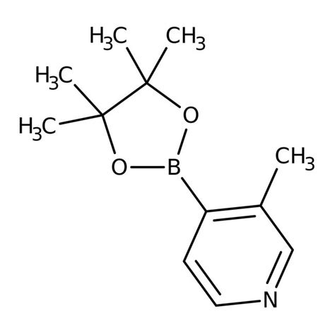 3 Methylpyridine 4 Boronic Acid Pinacol Ester 95 Thermo Scientific