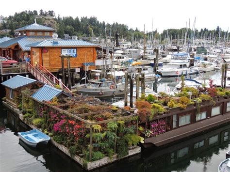 A Boat Dock With Many Boats Docked At It S Sides And Lots Of Plants