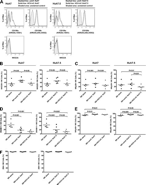 NK Receptor Expression On NK Cells After Interaction With HCV Infected