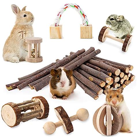 Best Chew Toys For Syrian Hamsters The Pet Supply Guy