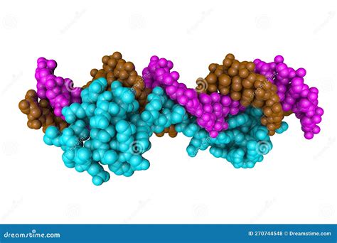 DNA Binding Domain Of Human SETMAR In Complex With Hsmar1 Terminal