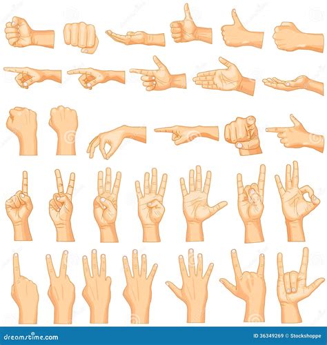 Hand Gestures Vector Illustration Cartoondealer