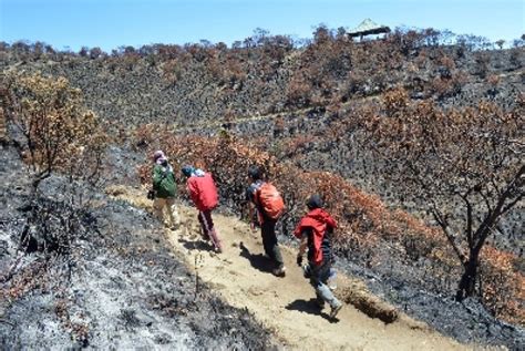 Tahun Baru Jalur Pendakian Tahura Ke Gunung Lawu Ditutup Republika