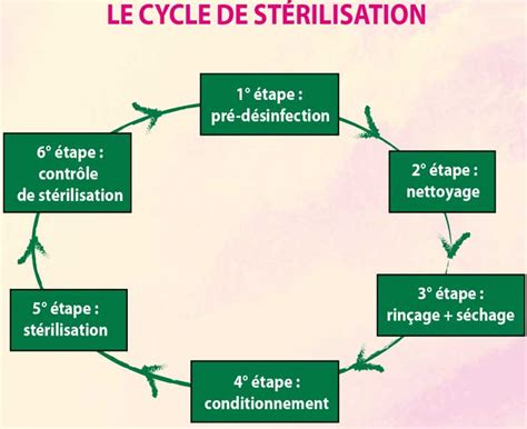 Stérilisation Les Enjeux Dune Approche Globale