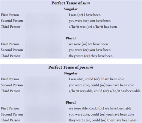 Perfect Tense Of Sum And Possum Diagram Quizlet