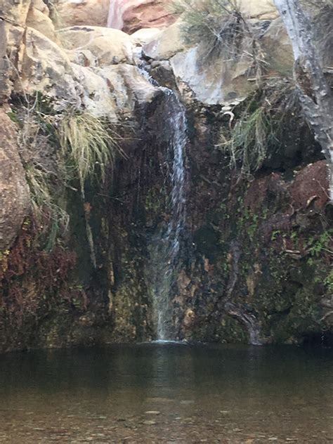 First Creek Trail At Red Rock Southwest Explorers