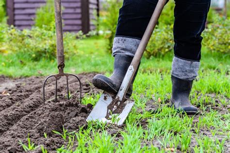 Cómo Elegir Las Herramientas Básicas Para El Huerto