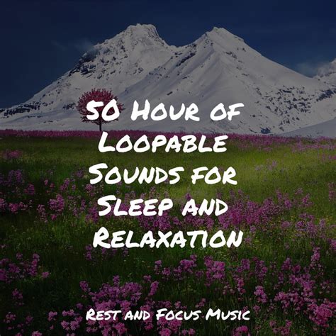 Hour Of Loopable Sounds For Sleep And Relaxation Album By The