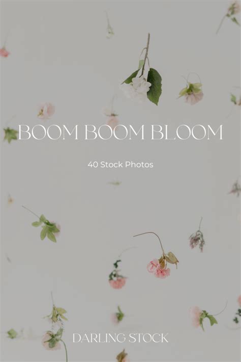 Boom Boom Bloom Darling Stock